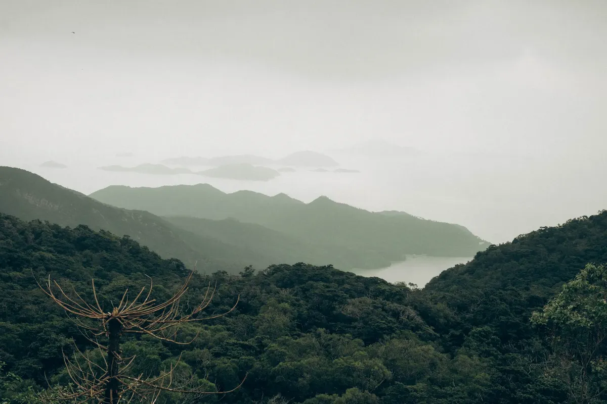 A tranquil view of verdant hills and islands on a foggy day in Hong Kong.